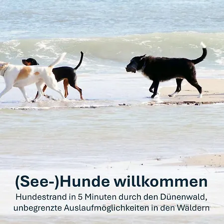 Christa - Familienfreundliche Mit Charme Apartment Heringsdorf (Usedom)